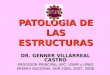PATOLOGIA DE LAS ESTRUCTURAS DR. GENNER VILLARREAL CASTRO PROFESOR PRINCIPAL UPC, USMP y UPAO PREMIO NACIONAL ANR 2006, 2007, 2008