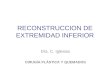 RECONSTRUCCION DE EXTREMIDAD INFERIOR Dra. C. Iglesias CIRUGÍA PLÁSTICA Y QUEMADOS