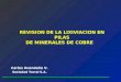 REVISION DE LA LIXIVIACION EN PILAS DE MINERALES DE COBRE Carlos Avendaño V. Sociedad Terral S.A