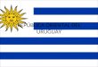 REPÚBLICA ORIENTAL DEL URUGUAY. URUGUAY Datos Básicos Ubicación: Se ubica en América del sur, limita con Argentina y Brasil Departamentos: Uruguay posee