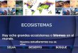ECOSISTEMAS Hay ocho grandes ecosistemas o biomas en el mundo. Nosotros estudiaremos tres de ellos: DESIERTOSELVABOSQUE