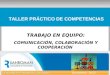 TRABAJO EN EQUIPO: COMUNICACIÓN, COLABORACIÓN Y COOPERACIÓN TALLER PRÁCTICO DE COMPETENCIAS Noviembre 2013