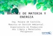 BALANCE DE MATERIA Y ENERGIA Ing. Roxana de Castillo. Maestra en Gestión Ambiental. Especialista en Producción más Limpia y Materiales Peligrosos