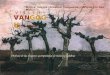 V I N C E N T VANGOGH (1853-1890) Música: Vincent (Acústica) Compuesta y dirigida por Don Mclean Disfrute de las imágenes acompañadas de música y palabras