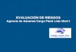 EVALUACIÓN DE RIESGOS Agencia de Aduanas Cargo Flash Ltda Nivel I