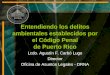 Entendiendo los delitos ambientales establecidos por el Código Penal de Puerto Rico Lcdo. Agustín F. Carbó Lugo Director Oficina de Asuntos Legales - DRNA