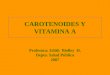 CAROTENOIDES Y VITAMINA A Profesora: Edith Biolley H. Depto. Salud Pública 2007