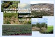 LAS ÁREAS RURALES: AGRICULTURA Y NUEVAS FUNCIONES Joan Noguera Tur Castelló, 22 de febrer