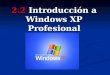 2.2 Introducción a Windows XP Profesional. 2.2 Introducción a Windows XP Introducción - Apareció en octubre del año 2001. - Surge como una mezcla de Windows