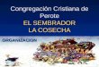 Congregación Cristiana de Perote EL SEMBRADOR LA COSECHA ORGANIZACION