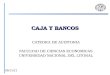 CAJA Y BANCOS CATEDRA DE AUDITORIA FACULTAD DE CIENCIAS ECONOMICAS UNIVERSIDAD NACIONAL DEL LITORAL 14/04/2015