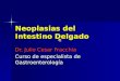 Neoplasias del Intestino Delgado Dr. Julio Cesar Fracchia Curso de especialista de Gastroenterología
