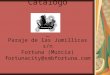 Catálogo Paraje de las Jumillicas s/n Fortuna (Murcia) fortunacity@smbfortuna.com