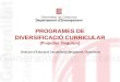 PROGRAMES DE DIVERSIFICACIÓ CURRICULAR (Projectes Singulars) Direcció d’Educació Secundària Obligatòria i Batxillerat