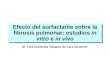 Efecto del surfactante sobre la fibrosis pulmonar: estudios in vitro e in vivo Dr. Luis Guillermo Vázquez de Lara Cisneros