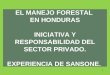 EL MANEJO FORESTAL EN HONDURAS INICIATIVA Y RESPONSABILIDAD DEL SECTOR PRIVADO. EXPERIENCIA DE SANSONE. 1