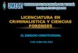 LICENCIATURA EN CRIMINALISTICA Y CIENCIAS FORENSES EL DERECHO CONSTITUCIONAL EL DERECHO CONSTITUCIONAL 3 DE JUNIO DE 2013
