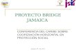 January 19 - 20, 2011 PROYECTO BRIDGE JAMAICA CONFERENCIA DEL CARIBE SOBRE COOPERACIÓN HORIZONTAL EN PROTECCIÓN SOCIAL