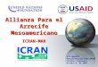 Allianza Para el Arrecife Mesoamericano ICRAN-MAR Liza Agudelo Tercera Reunión STAC-SPAW Caracas, Venezuela Octubre 4, de 2005