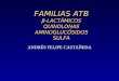 FAMILIAS ATB β-LACTÁMICOS QUINOLONAS AMINOGLUCÓSIDOS SULFA ANDRÉS FELIPE CASTAÑEDA