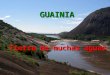 GUAINIA Tierra de muchas aguas. 107.000 Ha de Colonización Consolidada EXTENSION TERRITORIAL: 72.238 KM2 EQUIVALENTE AL 6,33% DEL TERRITORIO NAL. OCUPA