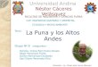 Universidad Andina Néstor Cáceres Velásquez FACULTAD DE INGENIERIA Y CIENCIAS PURAS CAP: INGENIERIA SANITARIA Y AMBIENTAL La Puna y los Altos Andes Tema