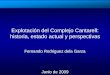 Explotación del Complejo Cantarell: historia, estado actual y perspectivas Fernando Rodriguez dela Garza Junio de 2009