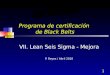 1 Programa de certificación de Black Belts VII. Lean Seis Sigma - Mejora P. Reyes / Abril 2010