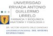 UNIVERSIDAD PRIVADA ANTONIO GUILLERMO URRELO FARMACIA Y BIOQUÍMICA ANATOMÍA Y FISIOLOGÍA II DR. VICTOR VICENTE CRUZ CHINCHAY ANATOMIA FUNCIONAL DEL SISTEMA