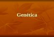 Genética. Genética Conceptos básicos Actividad 38 de la guía En esta actividad se piden los conceptos básicos de genética, que tienen que ser utilizados