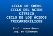 Prof. Lorena Bruna Ing. en Alimentos CICLO DE KREBS CICLO DEL ÁCIDO CÍTRICO CICLO DE LOS ÁCIDOS TRICARBOXÍLICOS