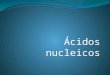 Ácidos nucleicos. Ácidos Nucleicos Los ácidos Nucleicos son biopolímeros que se encuentran en el núcleo y el citoplasma de la célula. Existen dos tipos