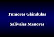 Tumores Glándulas Salivales Menores. Diagnóstico Clínico y Radiográfico