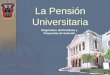 La Pensión Universitaria Diagnóstico del Problema y Propuestas de Solución