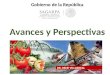 Avances y Perspectivas DR. RENE VILLARREAL Gobierno de la República Diciembre de 2014