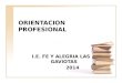ORIENTACION PROFESIONAL I.E. FE Y ALEGRIA LAS GAVIOTAS 2014