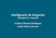 Inteligencia de Negocios (Inteligencia + Negocio) Cristian Olivares Rodríguez Carlos Neira Carrasco