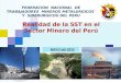 FEDERACION NACIONAL DE TRABAJADORES MINEROS METALURGICOS Y SIDERURGICOS DEL PERU Realidad de la SST en el Sector Minero del Perú MAYO del 2012
