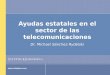 Www.steptoe.com Ayudas estatales en el sector de las telecomunicaciones Dr. Michael Sánchez Rydelski