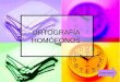 ORTOGRAFÍA HOMÓFONOS COMENZAR. Objetivo Identificar el significado de los homófonos, según el contexto. Identificar el significado de los homófonos, según