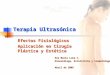 Terapia Ultrasónica Efectos Fisiológicos Aplicación en Cirugía Plástica y Estética Ana María Luna C. Kinesióloga, Esteticista y Cosmetóloga Abril de 2005