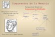 Componentes de la Memoria Perspectiva Tradicional – Una facultad única de la mente From Lull (1612, Opera omnia) Sensory memory Working memory Long-term