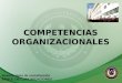 COMPETENCIAS ORGANIZACIONALES Noveno tema de socialización ÁRBOL DE COMUNICACIONES