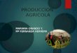 PRODUCCION AGRICOLA MARIANA OBANDO Y. Mª FERNANDA HERRERA