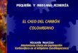PEQUEÑA Y MEDIANA MINERÍA EL CASO DEL CARBÓN COLOMBIANO Ricardo Mestizo Movimiento Cívico de Explotación Carbonífera en el Altiplano Cundiboyacence