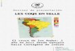 El cruce de los Andes: 1 año en bici desde Ushuaïa hacia Cartagena de Indias Contacto Grégory MIALHE Julien FRANCOIS lescoqsenselle@gmail.com Dossier de