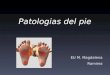 Patologias del pie EU M. Magdalena Ramirez. El pie corresponde a un órgano extremadamente complejo: 26 huesos, todos ellos relacionados con tantas articulaciones