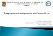 Wilfredo Ramos Gómez Coordinador Programa TsunamiReady® (787) 724-0124 x 1033 AGENCIA ESTATAL PARA EL MANEJO DE EMERGENCIAS Y ADMINISTRACIÓN DE DESASTRES