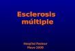 Esclerosis múltiple Hospital Pasteur Mayo 2008. Definición: Enfermedad inflamatoria crónica y neurodegenerativa del SNC. Enfermedad inflamatoria crónica
