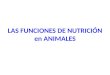 LAS FUNCIONES DE NUTRICIÓN en ANIMALES. FUNCIÓN DIGESTIVA